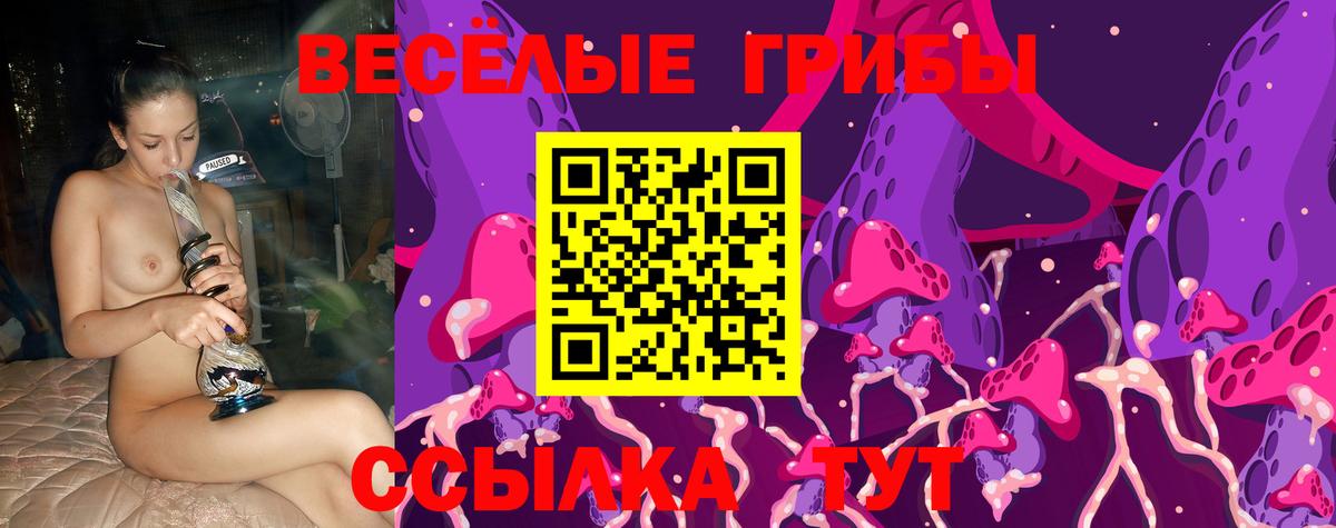 Ковров  Псилоцибиновые грибы мицелий  Вход с VPN 